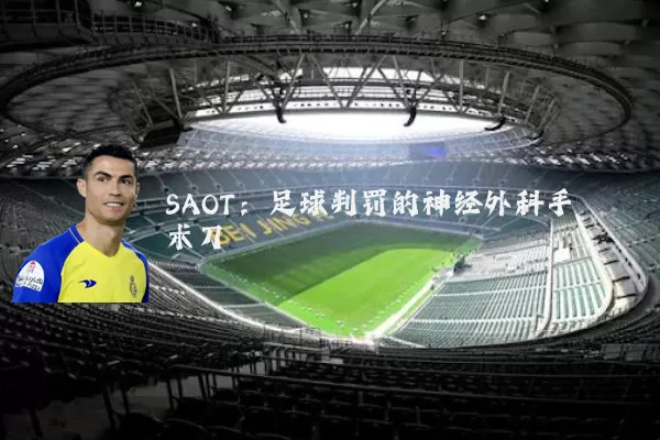 SAOT：足球判罚的神经外科手术刀